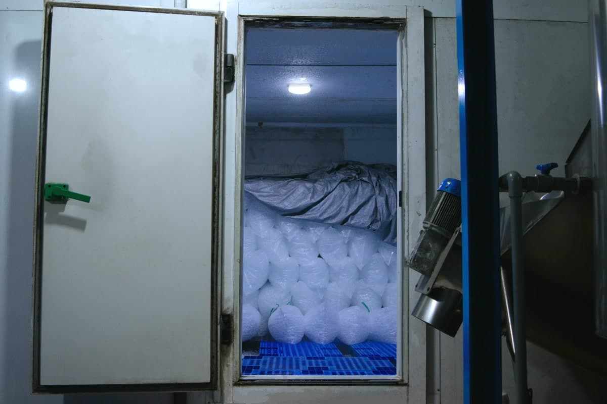 Quy trình sản xuất nước đá tinh khiết 5 bước (từ xưởng của LPA)